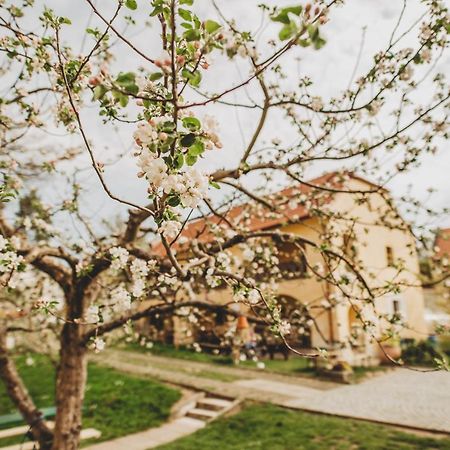 Boutique Apartman Speicher Прага Экстерьер фото