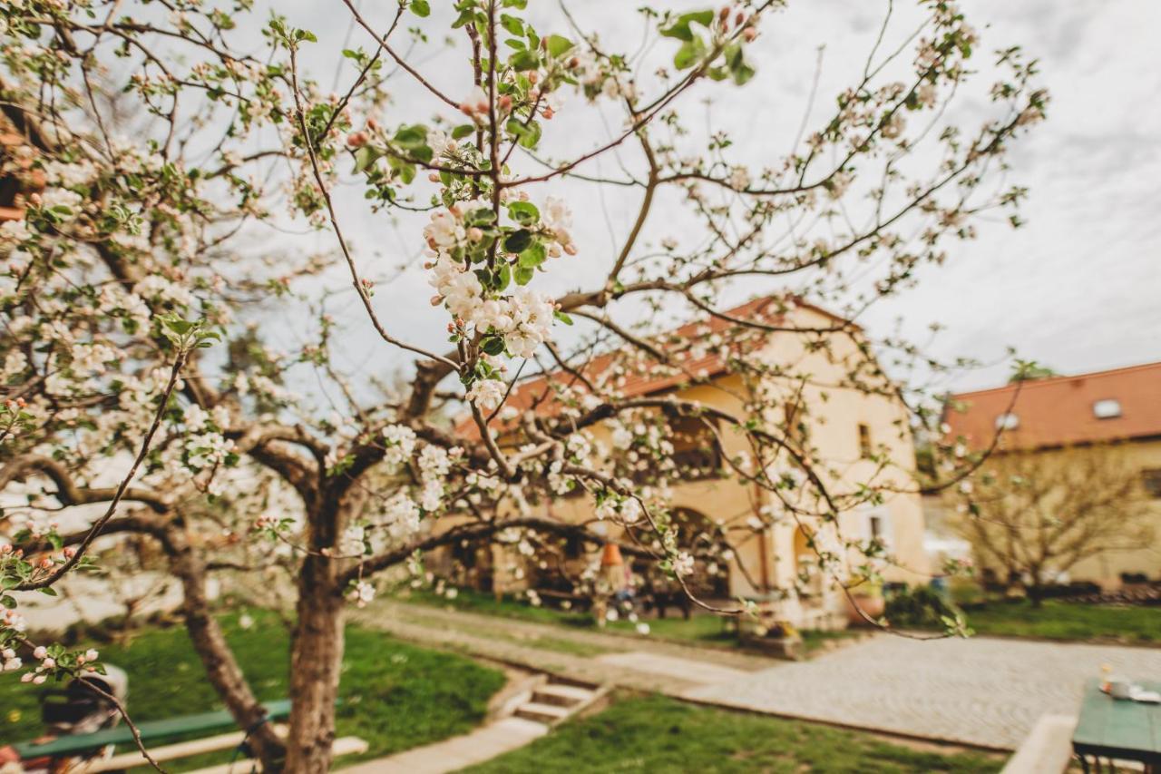 Boutique Apartman Speicher Прага Экстерьер фото